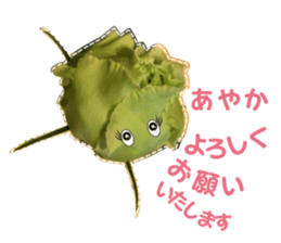 Ayaka Sticker only for flowers photos sticker #14725363