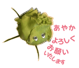 Ayaka Sticker only for flowers photos sticker #14725363