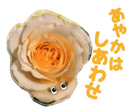 Ayaka Sticker only for flowers photos sticker #14725365