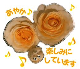 Ayaka Sticker only for flowers photos sticker #14725367