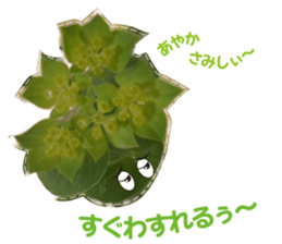 Ayaka Sticker only for flowers photos sticker #14725372