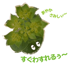 Ayaka Sticker only for flowers photos sticker #14725372