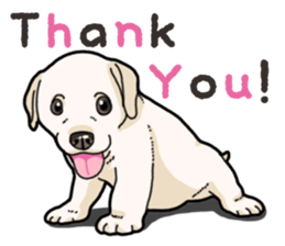 Wanko-biyori puppy Labrador retriever 4 sticker #14725871