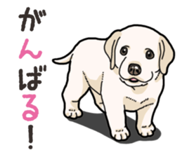 Wanko-biyori puppy Labrador retriever 4 sticker #14725872