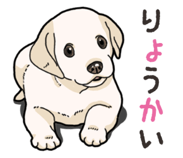 Wanko-biyori puppy Labrador retriever 4 sticker #14725875
