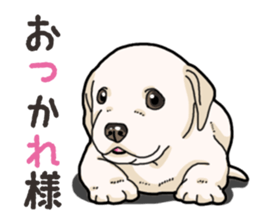 Wanko-biyori puppy Labrador retriever 4 sticker #14725878