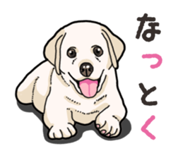 Wanko-biyori puppy Labrador retriever 4 sticker #14725879