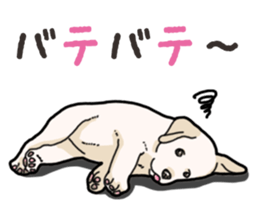 Wanko-biyori puppy Labrador retriever 4 sticker #14725880