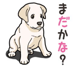 Wanko-biyori puppy Labrador retriever 4 sticker #14725881