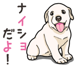 Wanko-biyori puppy Labrador retriever 4 sticker #14725885