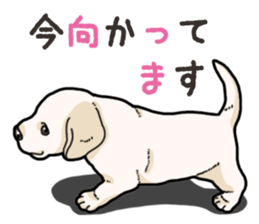 Wanko-biyori puppy Labrador retriever 4 sticker #14725888