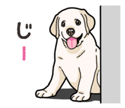 Wanko-biyori puppy Labrador retriever 4 sticker #14725889