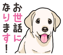 Wanko-biyori puppy Labrador retriever 4 sticker #14725890