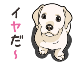 Wanko-biyori puppy Labrador retriever 4 sticker #14725892