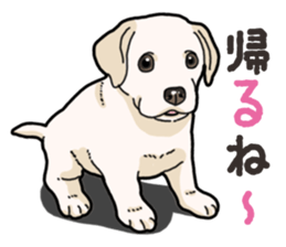 Wanko-biyori puppy Labrador retriever 4 sticker #14725893