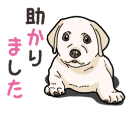 Wanko-biyori puppy Labrador retriever 4 sticker #14725895