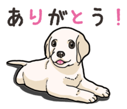 Wanko-biyori puppy Labrador retriever 4 sticker #14725896