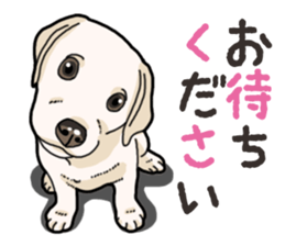 Wanko-biyori puppy Labrador retriever 4 sticker #14725899