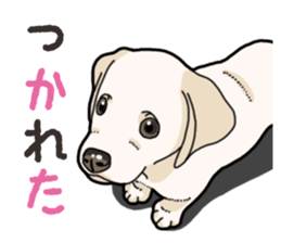 Wanko-biyori puppy Labrador retriever 4 sticker #14725901