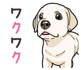 Wanko-biyori puppy Labrador retriever 4 sticker #14725902