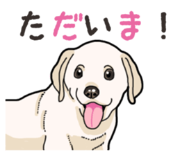 Wanko-biyori puppy Labrador retriever 4 sticker #14725905