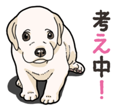 Wanko-biyori puppy Labrador retriever 4 sticker #14725907