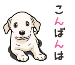 Wanko-biyori puppy Labrador retriever 4 sticker #14725908