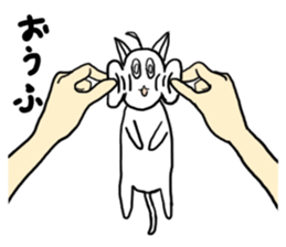 Also Chitto cat sticker #14725916