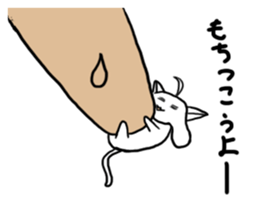 Also Chitto cat sticker #14725931