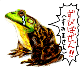 frogs!!! sticker #14726073