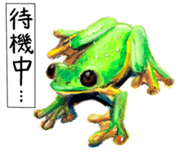 frogs!!! sticker #14726081
