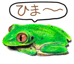 frogs!!! sticker #14726083