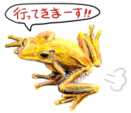 frogs!!! sticker #14726085