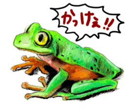 frogs!!! sticker #14726087