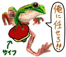 frogs!!! sticker #14726092