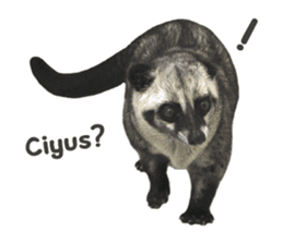Mumu the Cute Asian Palm Civet sticker #14726678
