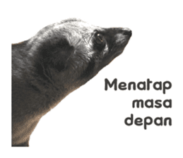 Mumu the Cute Asian Palm Civet sticker #14726679