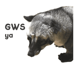 Mumu the Cute Asian Palm Civet sticker #14726681