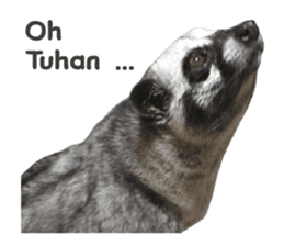 Mumu the Cute Asian Palm Civet sticker #14726682