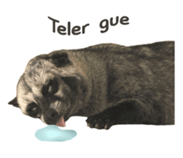 Mumu the Cute Asian Palm Civet sticker #14726684