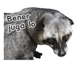 Mumu the Cute Asian Palm Civet sticker #14726685