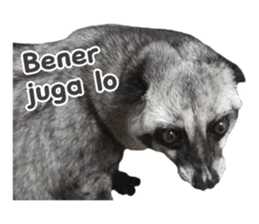 Mumu the Cute Asian Palm Civet sticker #14726685