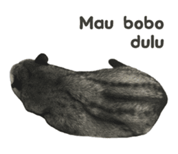Mumu the Cute Asian Palm Civet sticker #14726687