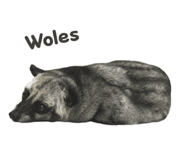 Mumu the Cute Asian Palm Civet sticker #14726688