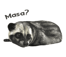 Mumu the Cute Asian Palm Civet sticker #14726689
