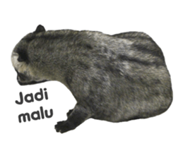 Mumu the Cute Asian Palm Civet sticker #14726690