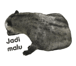 Mumu the Cute Asian Palm Civet sticker #14726690