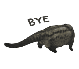 Mumu the Cute Asian Palm Civet sticker #14726692