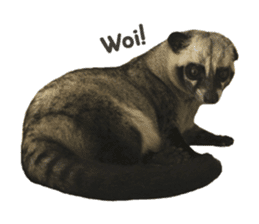 Mumu the Cute Asian Palm Civet sticker #14726693