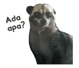 Mumu the Cute Asian Palm Civet sticker #14726694